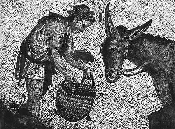 Всеобщая история религий мира Всеобщая история религий мира
