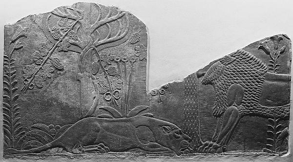 Всеобщая история религий мира Всеобщая история религий мира
