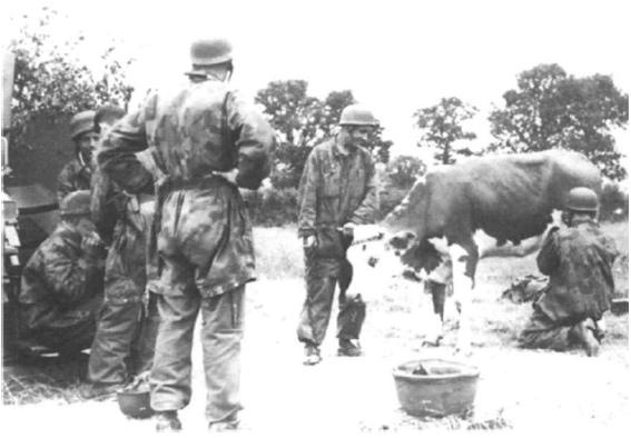 Германские парашютисты. 1939-1945 Германские парашютисты. 1939-1945
