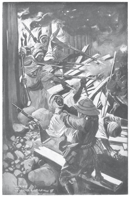 Священный цветок. Чудовище по имени Хоу-Хоу. Она и Аллан. Сокровище озера