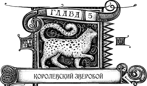 Дарители. Книга 5. Сердце бури Дарители. Книга 5. Сердце бури