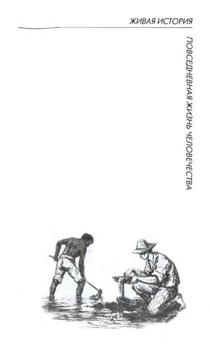 Повседневная жизнь Калифорнии во времена "золотой лихорадки"