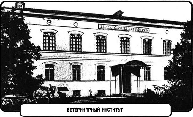 Фуэте на Бурсацком спуске Фуэте на Бурсацком спуске