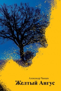 Желтый Ангус - Александр Чанцев - Читать книги онлайн | Слушать аудиокниги онлайн | Электронная библиотека books-lib.com