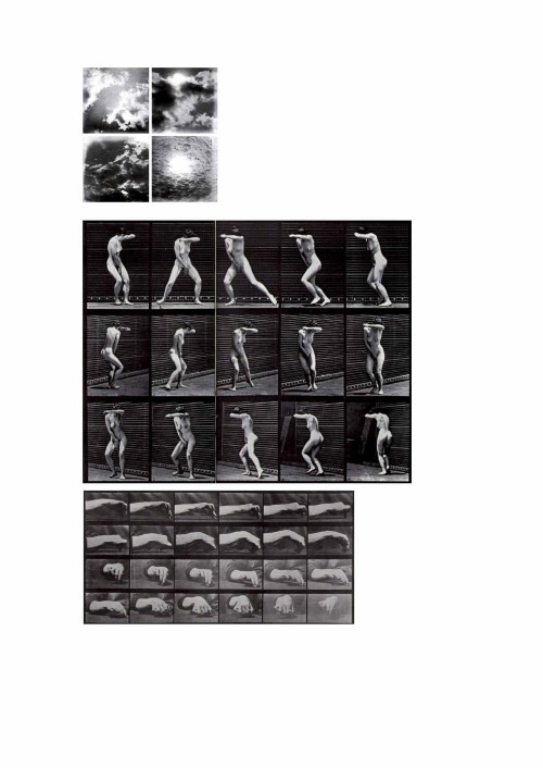 Лекции по истории фотографии Лекции по истории фотографии