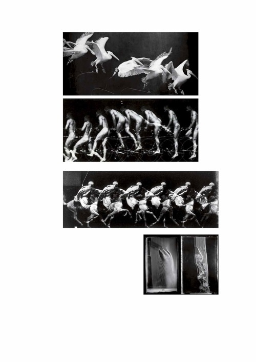 Лекции по истории фотографии Лекции по истории фотографии