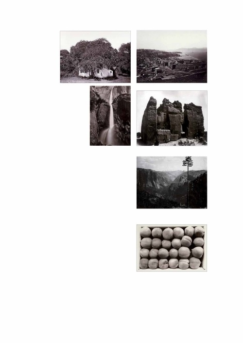 Лекции по истории фотографии Лекции по истории фотографии