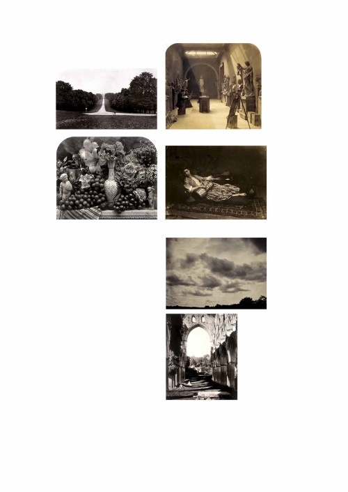 Лекции по истории фотографии Лекции по истории фотографии