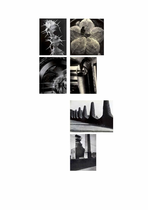 Лекции по истории фотографии Лекции по истории фотографии