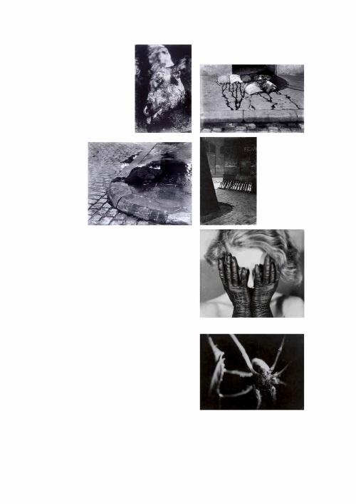 Лекции по истории фотографии Лекции по истории фотографии