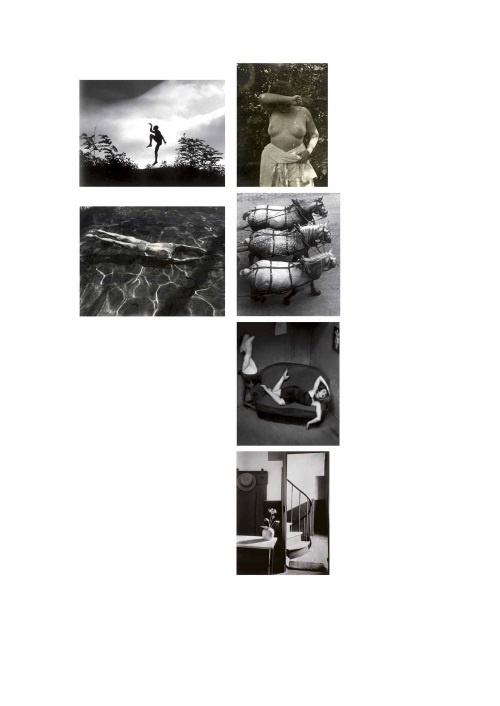Лекции по истории фотографии Лекции по истории фотографии