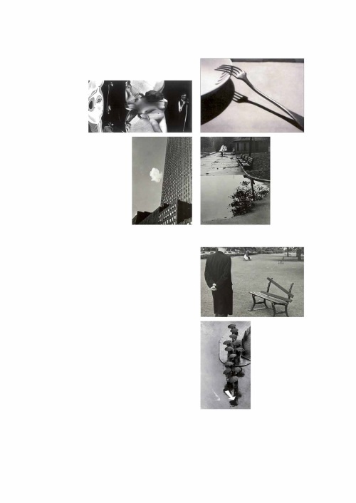 Лекции по истории фотографии Лекции по истории фотографии