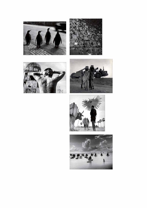 Лекции по истории фотографии Лекции по истории фотографии
