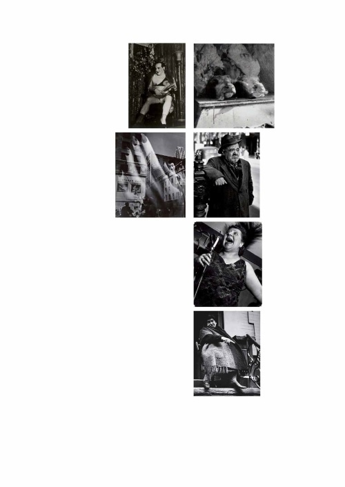 Лекции по истории фотографии Лекции по истории фотографии