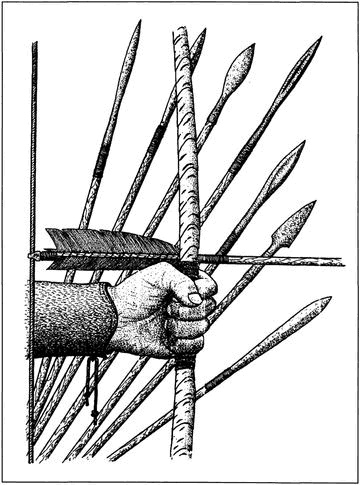 Викинги. Походы, открытия, культура Викинги. Походы, открытия, культура