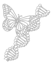 Что такое жизнь?