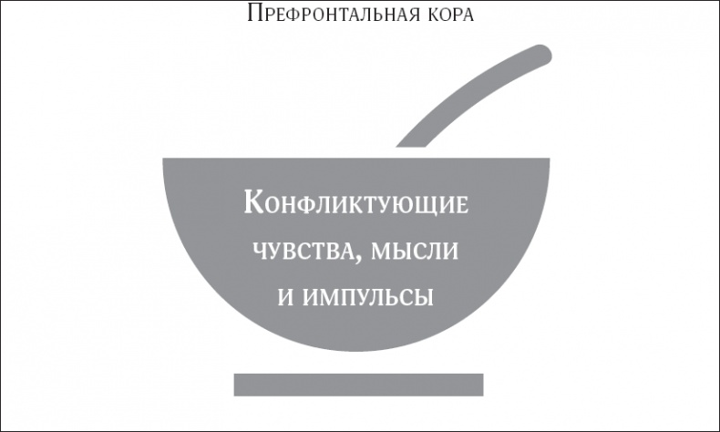 Покой, игра, развитие Покой, игра, развитие