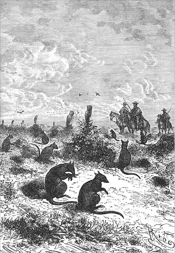 Гаспар-гаучо. Затерявшаяся гора Гаспар-гаучо. Затерявшаяся гора