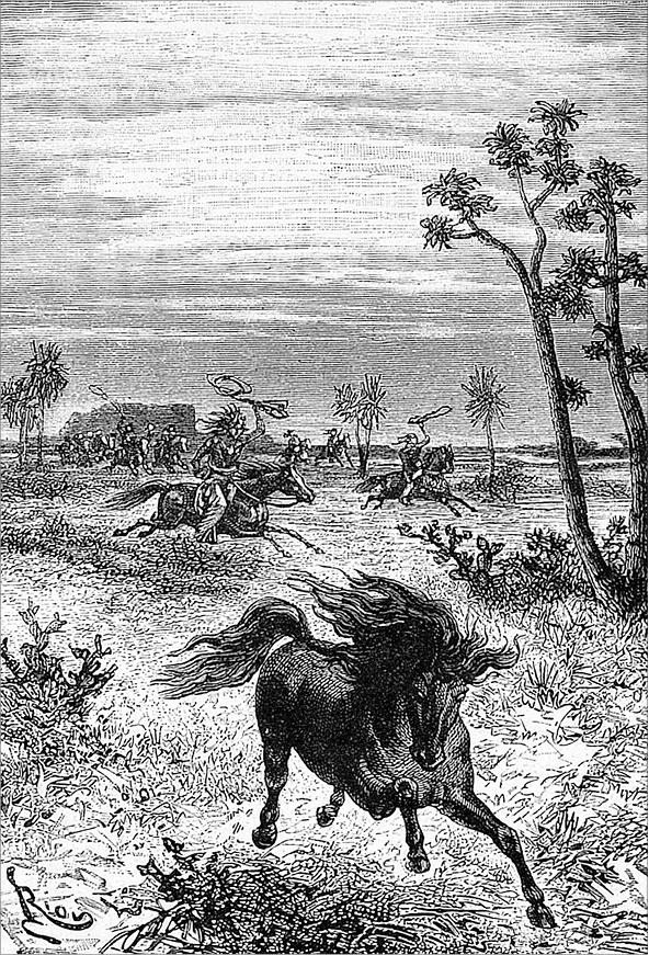 Гаспар-гаучо. Затерявшаяся гора Гаспар-гаучо. Затерявшаяся гора