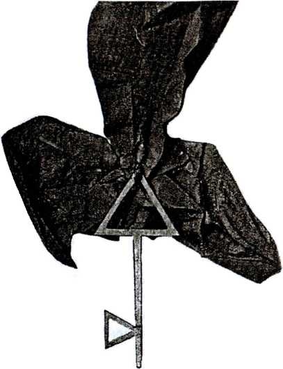 Тайные архивы русских масонов Тайные архивы русских масонов