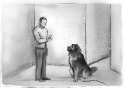 Эффект бандерлогов Эффект бандерлогов