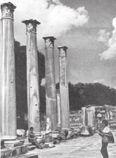 Древняя Греция Древняя Греция