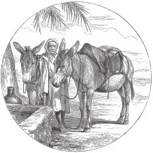 Древняя Греция Древняя Греция