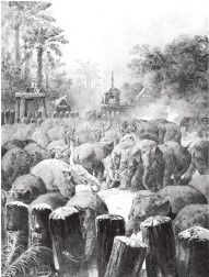 Древний Восток и Азия Древний Восток и Азия