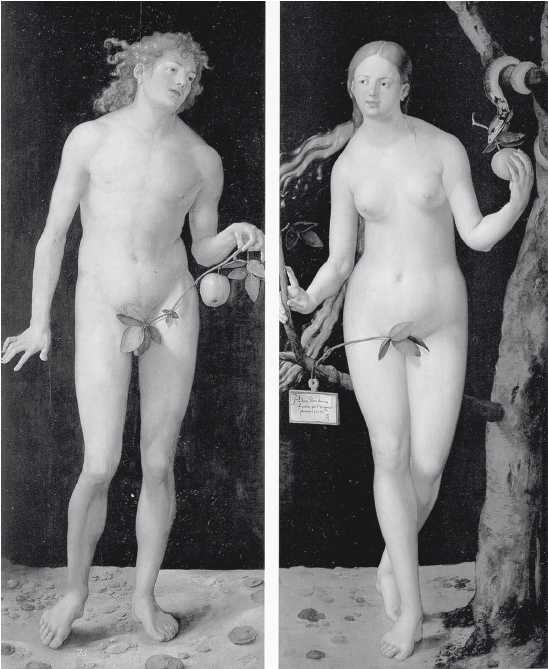 Древние цивилизации Древние цивилизации