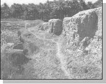 Древние цивилизации Древние цивилизации