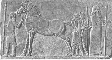 Древние цивилизации Древние цивилизации