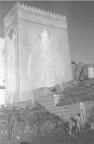 Древние цивилизации Древние цивилизации