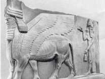 Древние цивилизации Древние цивилизации