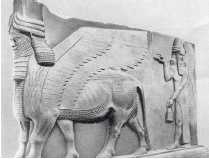 Древние цивилизации Древние цивилизации