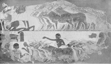 Древние цивилизации Древние цивилизации