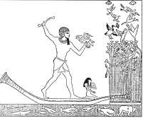 Древние цивилизации Древние цивилизации