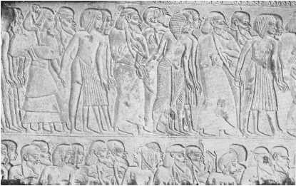 Древние цивилизации Древние цивилизации