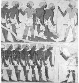 Древние цивилизации Древние цивилизации