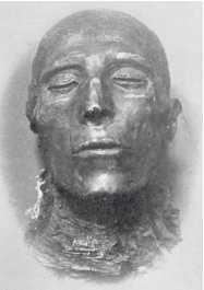 Древние цивилизации Древние цивилизации