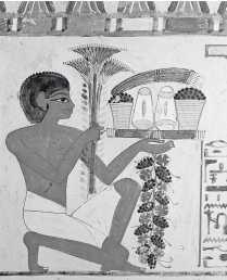 Древние цивилизации Древние цивилизации