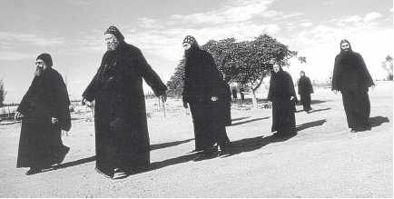 Древние цивилизации Древние цивилизации