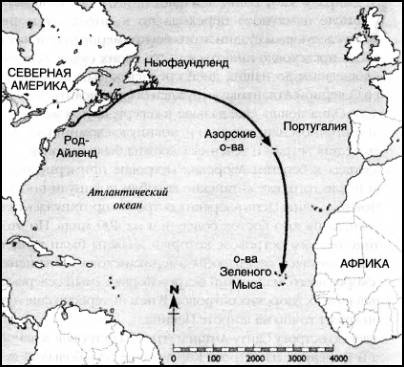 1421 год, когда Китай открыл мир 1421 год, когда Китай открыл мир