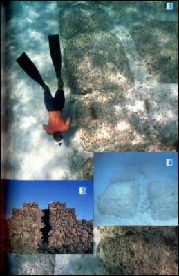 1421 год, когда Китай открыл мир 1421 год, когда Китай открыл мир