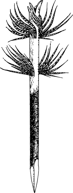 Феномен куклы в традиционной и современной культуре. Кросскультурное исследование идеологии антропоморфизма Феномен куклы в традиционной и современной культуре. Кросскультурное исследование идеологии антропоморфизма