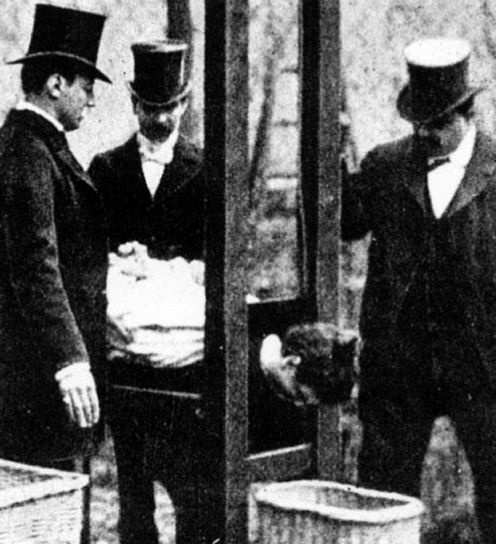 Смертная казнь. История и виды высшей меры наказания от начала времен до наших дней Смертная казнь. История и виды высшей меры наказания от начала времен до наших дней