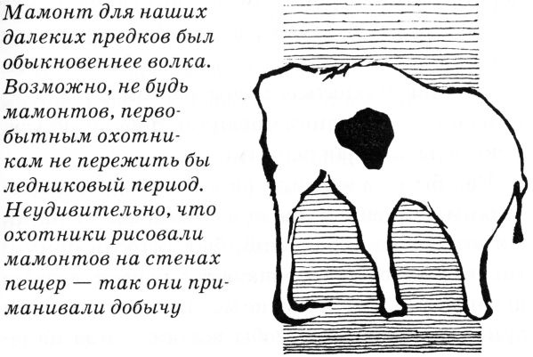 Тайны древнего мира Тайны древнего мира