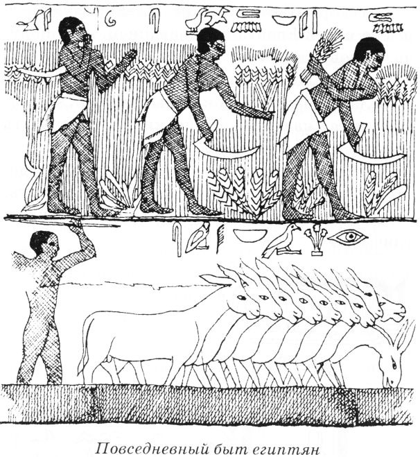 Тайны древнего мира Тайны древнего мира