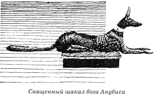 Тайны древнего мира Тайны древнего мира