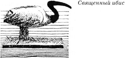 Тайны древнего мира Тайны древнего мира