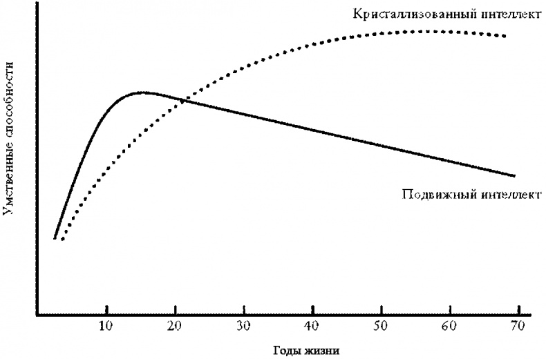 Что такое интеллект и как его развивать. Роль образования и традиций Что такое интеллект и как его развивать. Роль образования и традиций